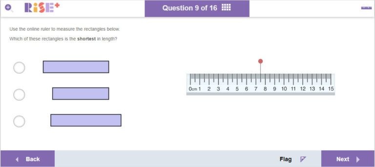 NAPLAN Practice Tests Online for Year 3, 5 and 7 RISE+